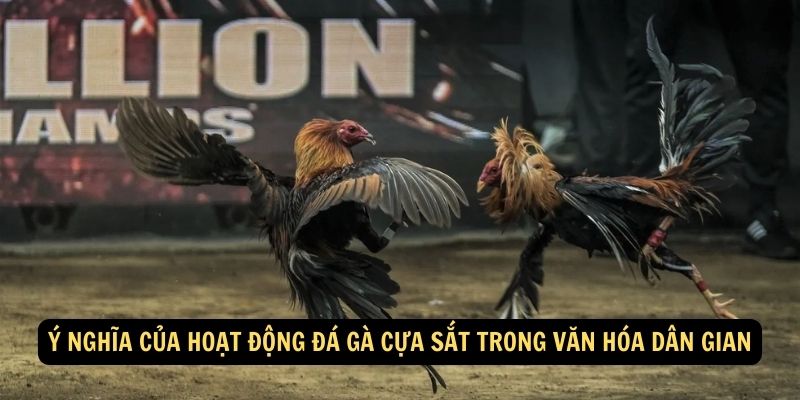 Chinh Phục Đấu Trường Đá Gà Cựa Sắt: Trải Nghiệm Thú Vị với Fun888! 5 Y nghia cua hoat dong da ga cua sat trong van hoa dan gian