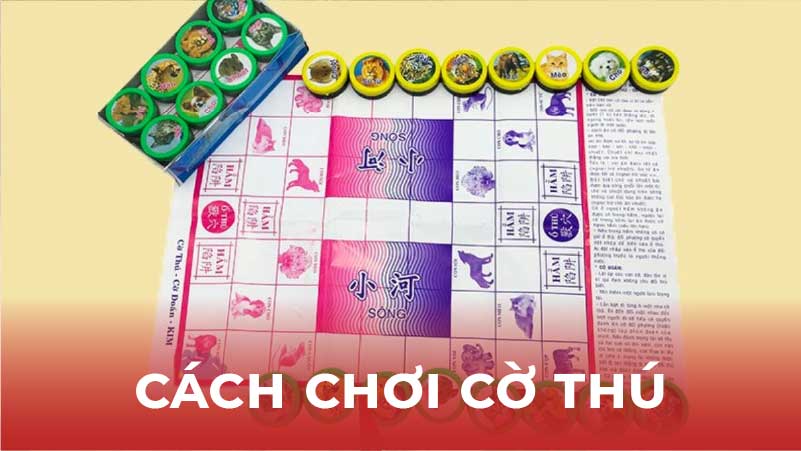 Cách Chơi Cờ Thú Hiệu Quả: Tăng Cường Sức Mạnh Cho Lối Chơi Của Bạn 4 Thực hành và rèn luyện: Cách nâng cao kỹ năng chơi cờ thú