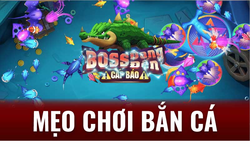 5 mẹo chơi bắn cá ăn tiền hiệu quả nhất 4 Học Hỏi Các Mẹo Chơi Bắn Cá: Bí Kíp Tăng Tỷ Lệ Thắng Lợi